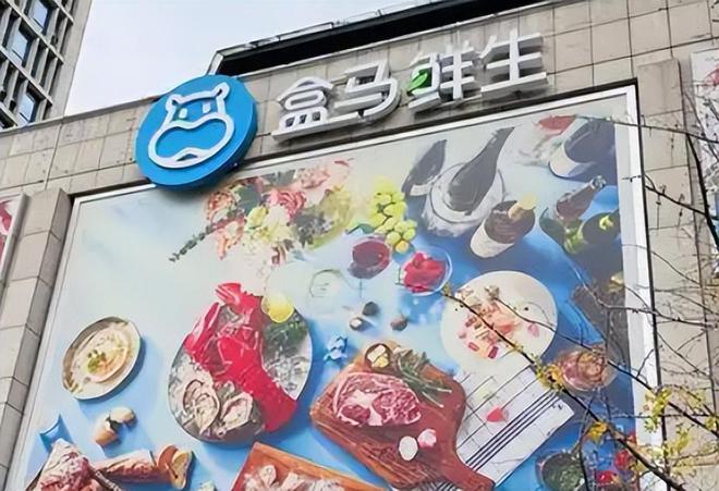标！长期食用致癌央媒点名通告盒马新回应冰球突破豪华版手机版盒马鲜生鸡蛋兽药超(图15)