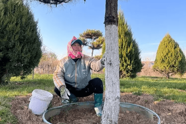 冰球突破官方【今日关注】河曲县黄河湿地：生态保护与可持续发展并进(图3)
